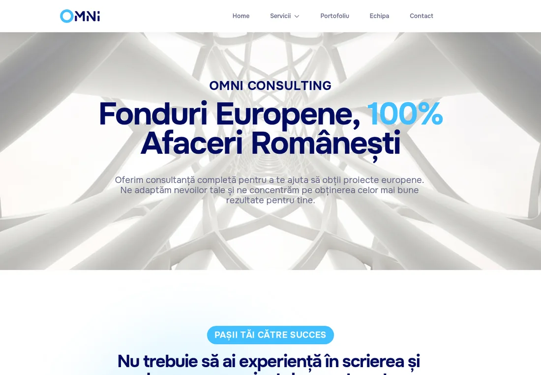 Omni Consulting website